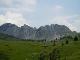 19. Zelengora